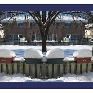 Meet your Posher, Zahra